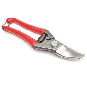 Foarfece de grădină forjat Robert-Klaas - mărimea S (pentru femei) - 17 cm | Ø 15 mm
